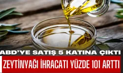 Türkiye’nin Zeytinyağı İhracatı Yüzde 101 Arttı, ABD’ye Satış 5 Katına Çıktı