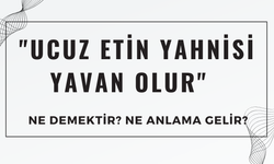 "Ucuz Etin Yahnisi Yavan Olur" Atasözü Ne Demek? Ne Anlama Geliyor?