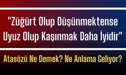 "Züğürt Olup Düşünmektense Uyuz Olup Kaşınmak Daha İyidir" Atasözü Ne Demek? Ne Anlama Geliyor?