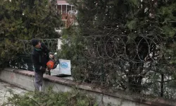 İnegöl’de Ağaç Budama Çalışmaları Sürüyor