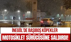 İnegöl’de Başıboş Köpekler Motosiklet Sürücüsüne Saldırdı!