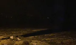 Konya Valiliği'nden Köpek Saldırısında Hayatını Kaybeden Çocuk İçin Açıklama
