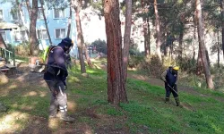 Gemlik Belediyesi, Çevre Temizliği ve Yeşil Alan Düzenlemeleriyle İlçeyi Yeniliyor!