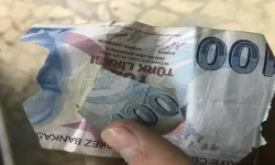 Yıpranmış ve Zarar Görmüş Banknotları Kullanılabilir Hale Getirmek Mümkün mü?