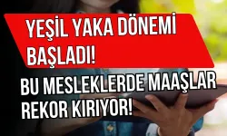 Yeşil Yaka Dönemi Başladı! Bu Mesleklerde Maaşlar Dudak Uçuklatıyor!