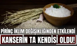 Pirinç İklim Değişikliğinden Etkilendi: Arsenik Seviyesi Arttı, Kanserin Ta Kendisi Oldu!