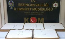 Erzincan’da Kaçak Makaron Operasyonu: 25 Bin Dal Ele Geçirildi