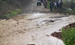 25 Küçükbaş Hayvan Telef Oldu, Çoban Son Anda Kurtuldu