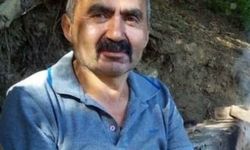 Kestiği Ağacın Altında Kalan İşçi Hayatını Kaybetti