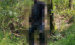 1 Aydır Kayıp Şahıs Ormanlık Alanda Ölü Bulundu