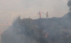 Aydın’da Ormanlara Giriş Yasaklandı: 1 Haziran'dan İtibaren Geçerli