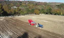 Çiftçinin Kayıp Karısı Nerede? Günün Zeka Sorusu