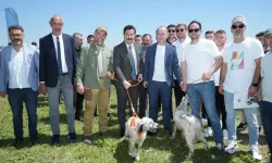 Bursa Yenişehir’de Düzenlenen Fermalı Av Köpekleri Yarışması Türkiye Genelinden Yoğun İlgi Gördü