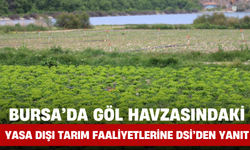 Bursa’da Göl Havzasındaki Yasa Dışı Tarım Faaliyetlerine DSİ’den Yanıt