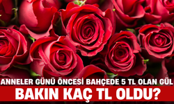 Anneler Günü Öncesi Bahçede 5 Lira Olan Gül Bakın Kaç Lira Oldu?