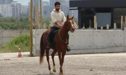 Atıyla Markete Giden Kişiye Alkollü Araç Cezası Verildi