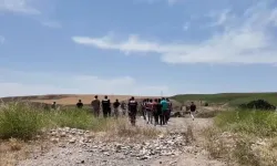Baba-Oğul Yakılarak Öldürülmüştü, Nedeni Ortaya Çıktı