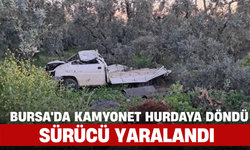 Bursa İznik'te Kamyonet Zeytin Ağaçlarına Çarptı: Sürücü Yaralandı