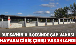 Bursa'nın O İlçesinde Şap Vakası: Hayvan Giriş Çıkışı Yasaklandı