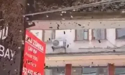 Bursa’da Binlerce Arı İş Merkezini Bastı, Vatandaşlar Korku Dolu Anlar Yaşadı