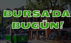 15 Mayıs’ta Bursa’da Neler Yaşandı? Mecliste Gerginlik, Barınakta Katliam İddiası, Süt Fabrikasında Grev!