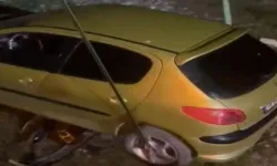 Bursa'da Köpeğe Çarpmamak İçin Manevra Yapan Sürücü Şarampolden Uçtu