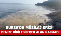 Bursa'da Müsilaj Krizi! Denize Girilebilecek Alan Kalmadı