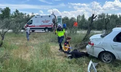 Bursa'da Otomobil Zeytinliğe Uçtu, 3 Kişi Yaralandı