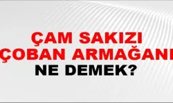 Çam Sakızı Çoban Armağanı Ne Demek? Bu Sözün Hikmeti Nereye Dayanıyor?