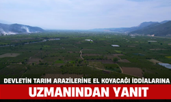 Devletin Tarım Arazilerine El Koyacağı İddialarına Uzmanından Yanıt
