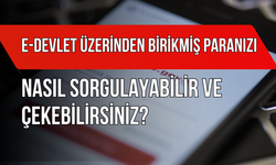 E-Devlet Üzerinden Birikmiş Paranızı Nasıl Sorgulayabilir ve Çekebilirsiniz?