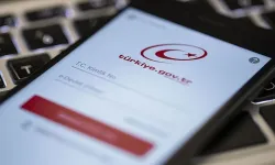 E-Devlet Üzerinden Birikmiş Paranızı Nasıl Sorgulayabilir ve Çekebilirsiniz?