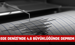 Ege Denizi'nde 4.6 Büyüklüğünde Deprem