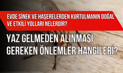 Evde Sinek, Haşerelerden Kurtulmanın Doğal ve Etkili Yolları Nelerdir? Yaz Gelmeden Alınması Gereken Önlemler Hangileri?
