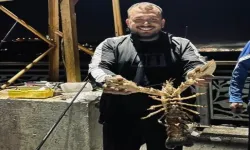 Gemlik Körfezi’nde Dev Istakoz Yakalandı: 2 Kilogram Ağırlığında!