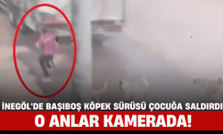 İnegöl'de Başıboş Köpek Sürüsü Çocuğa Saldırdı, O Anlar Kamerada!