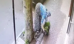 İnegöl'de Çiçek Hırsızı, Güvenlik Kamerasına Böyle Yansıdı!