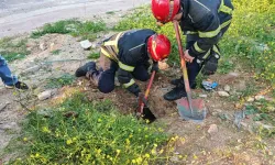 İnegöl'de Çukura Düşen Yavru Kuzu İtfaiye Tarafından Kurtarıldı