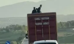 Kamyonun Üzerinde Can Pazarı! O Tehlikeli Anlar Kamerada