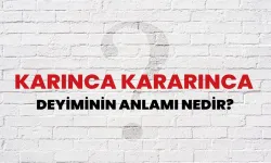 Karınca Kararınca Deyimi Ne Demek? Neden Hâlâ Bu Kadar Anlamlı?