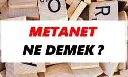 Metânet Ne Demek? Ne Anlama Gelir? Hangi Durumlarda Kullanılır?
