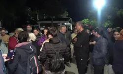 Osmangazi Belediyesi’ne Bağlı Barınakta Yeni Bir Hayvan Katliamı