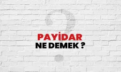 Payidar Ne Demek, Nerede ve Nasıl Kullanılır? Bu Eski Söz Günümüzde Ne Anlatıyor?