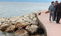 Sahildeki Kayalıklarda Erkek Cesedi Bulundu