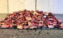 Şanlıurfa’da Jandarma 1 Ton 700 Kilo Mühürsüz Et Ele Geçirdi