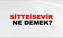 Sitteisevir Ne Demek? Bu Osmanlıca Kelimenin Anlamı Neye Dayanıyor, Günümüzde Nasıl Kullanılıyor?