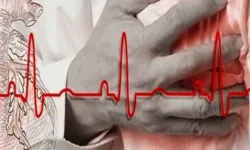 Tek Başına Kalp Krizi Geçirdiğini Düşünüyorsan Ne Yapmalısın? Hayat Kurtaran Adımlar Nelerdir?