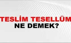 Teslim Tesellüm Ne Demek? Bu Terim Hukukta, Ticarette ve Günlük Hayatta Neyi İfade Eder?