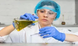 Türkiye’nin İlk Zeytinyağı Laboratuvarı Neden Bursa’da Kuruldu ve Bu Laboratuvarın Özellikleri Nelerdir?