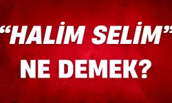 “Halim Selim” Ne Demek? Kimler İçin ve Ne Zaman Kullanılır?